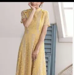 【rinfarre 】美品　総レースプチハイネック半袖Aラインフレア　ミディアム