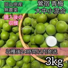 우구이스주쿠 오메 대, 중형 혼합 3kg, 무농약, 오카야마현 농가 직송
