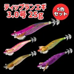 ティップラン専用エギ 3.0号 25g 5個セットケース付き エギングTR