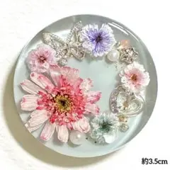 ハンドメイドレジン選べるパーツ　約3.5cm ドライフラワー　サークル　蝶