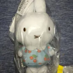 Item thumbnail for item c5b243b3-30d3-448b-bad9-8ef3bbd9f04b