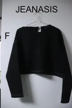 本日限り特価JEANASIS ジーナシス ダンボールステッチプルオーバー F良品
