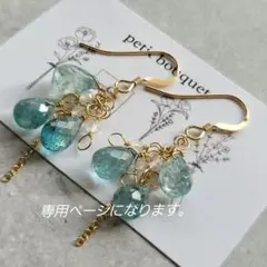 ポメころび様専用❤️ サージカルステンレス316フープイヤリング
