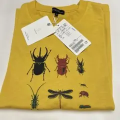 UNITED ARROWS green label relaxing Tシャツのサムネイル