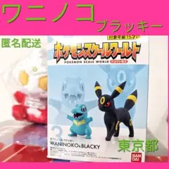 ポケモンスケールワールド　ブラッキー　ワニノコ　ジョウト地方　フィギュア