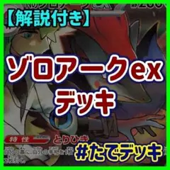 Nのゾロアークexデッキ ゾロアークデッキ 構築済みデッキ【回し方ガイド付‼️】