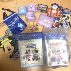 【非売品】バケーションパッケージ　ポップコーンケース　エコバッグ　ディズニー