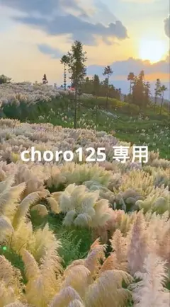 choro125 専用