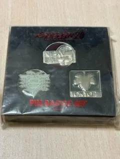 エヴァ ピンズセット