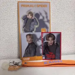 TheRAMPAGE 武知海青 アクリルスタンド、フォトカード、マルチストラップ