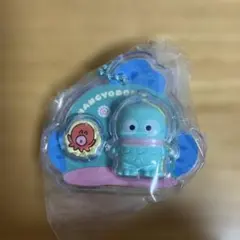 サンリオ　パッケージチャーム　ハンギョドン
