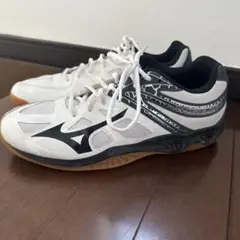 バレーボールシューズ　MIZUNO 27.5cm