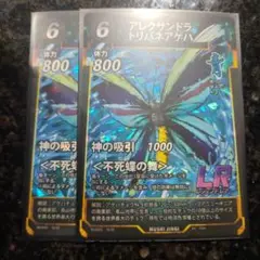 蟲神器アレクサンドラトリバネアゲハ2枚