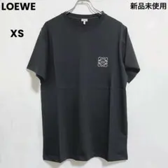 超希少デザイン・入手困難】 ロエベ センターロゴ サロメ メデューサ T