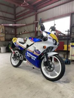 状態良好HONDA NS1 アッパーカウル　ロスマンズ　フロントカウル　ヒビあり 2025年最新】ロスマンズ ns-1の人気アイテム - メルカリ