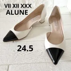 超美品★Ⅶ Ⅻ XXX ALUNE パンプス 24.5cm ローヒール