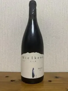 2026年最新】ミエイケノ メルローの人気アイテム - メルカリ