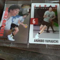 Item thumbnail for item d0beb286-30e5-4f4e-9183-1edc5b1529b2