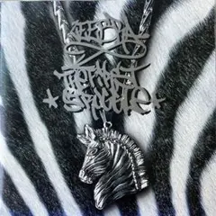 ジブラ ZEEBRA/THE FIRST STRUGGLE ベスト盤
