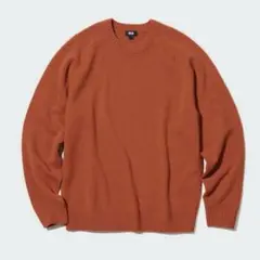 UNIQLOプレミアムラムクルーネックセーター(長袖)