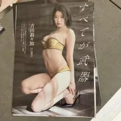 ハーツクライ様 リクエスト 2点 まとめ商品