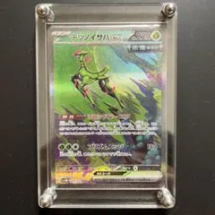 ポケモンカード テツノイサハ ex sar