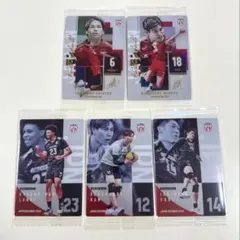バレーボール 日本代表 ウエハースカード5枚セット