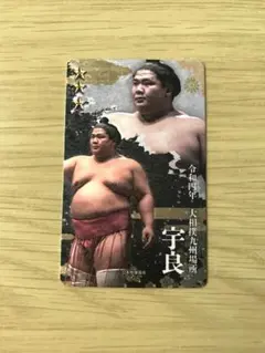 大相撲カード