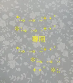 専用 鬼滅の刃 6点