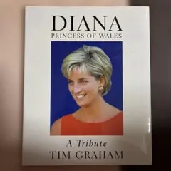 Item thumbnail for item 64dc9d6d-28b1-487c-ba2c-cea7a0d700c5