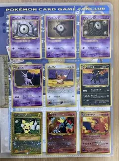 ポケモンカード neoプレミアムファイル2リザードン、エンテイ 旧裏