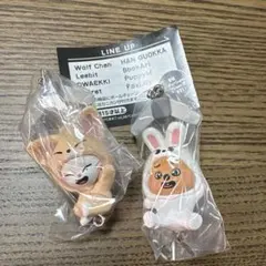 skzooつなげてますこっと ジニレット フォクシニー クォッカ リービット