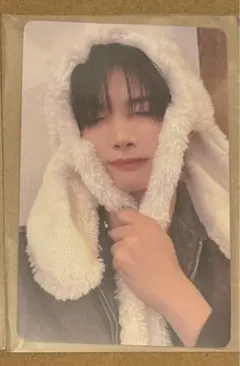 &TEAM JO ジョウ 雪明かり アニマルトレカ