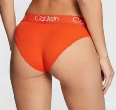 Calvin Klein カルバンクライン ビキニインナー Orange 海外S