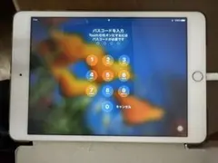 ipad 第9世代 セルラー