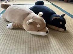 柴犬ぬいぐるみ 茶色と黒のセット