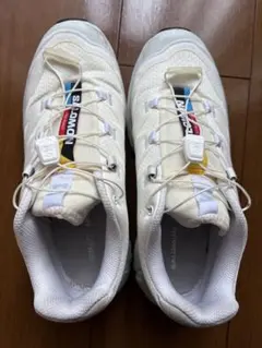 Item thumbnail for item 16c6650d-04e9-49a4-9087-5e95058528b7