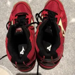 Mizuno 赤 ハイカットシューズ