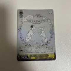 【まとめ買いで2点目以降100円引き】　ポンゴ&パディータ