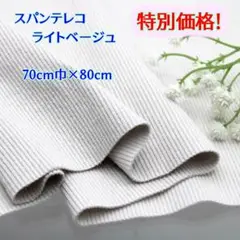 【付属用スパンテレコ　ライトベージュ80cmの特別価格です！】80C39