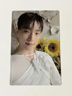 SEVENTEEN メンバーシップ ディノ トレカ