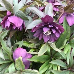 まるこ様 リクエスト 2点 まとめ商品