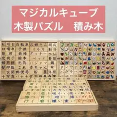 家庭保育園　マジカルキューブ　魔法のキューブ　 木製パズル　積み木　つみき