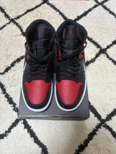 Item thumbnail for item ee305a39-5ddf-420e-9285-3c3d7803408d