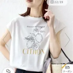 SHIPS WOMEN 【WEB限定】オーガニック コットン フルーツ TEEのサムネイル
