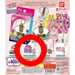 プリキュアオールスターズ 変身ダイキャストチャーム＆パッケージ2