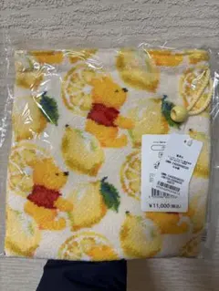 Item thumbnail for item 81b17997-9c89-42ea-a28b-15684646084e