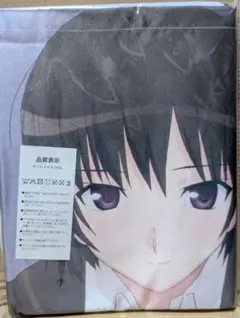 [70-02] タペストリー