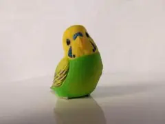 新品　セキセイインコ　グリーン