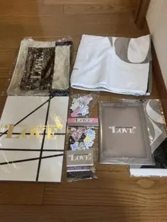 嵐 LOVE ライブグッズ 公式 2013